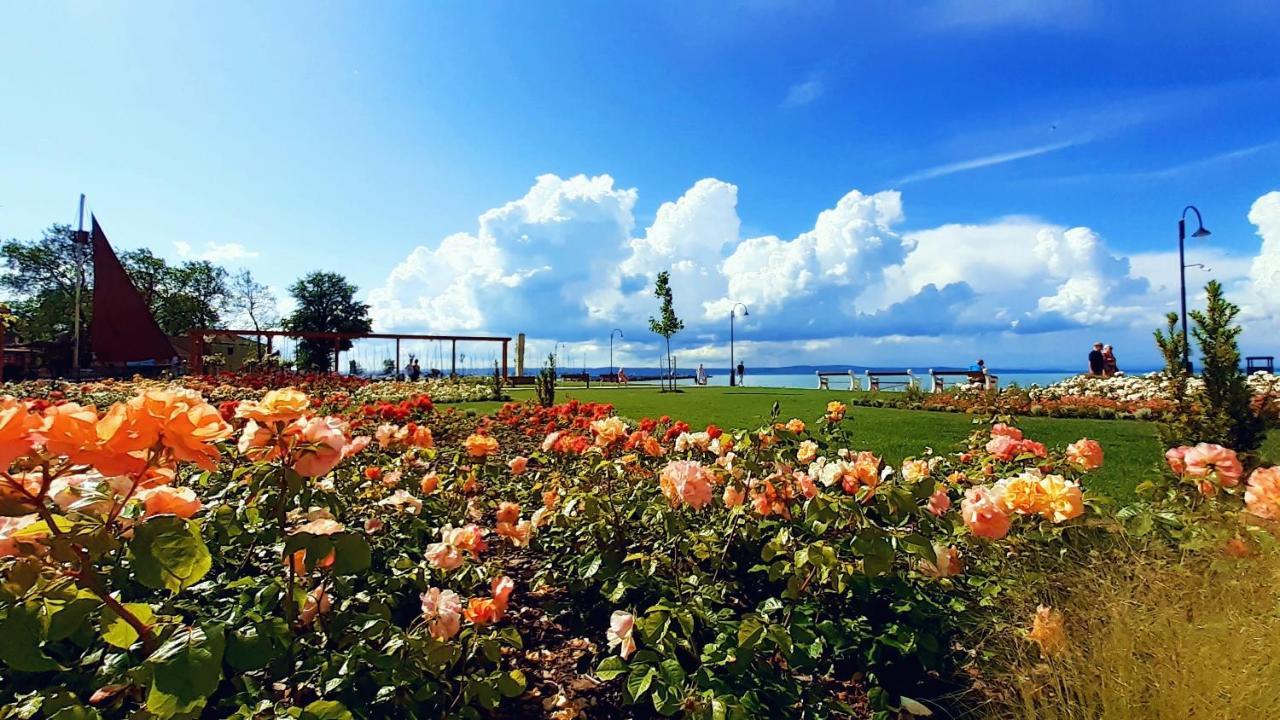 Apartman Alinda 1